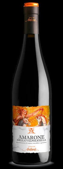 Amarone della Valpolicella ( Le Ville di Antanè ) 2012