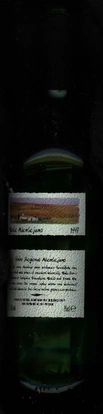 Monte Alentejo ( Quinta da Fonte Bela Alentejo ) 1997