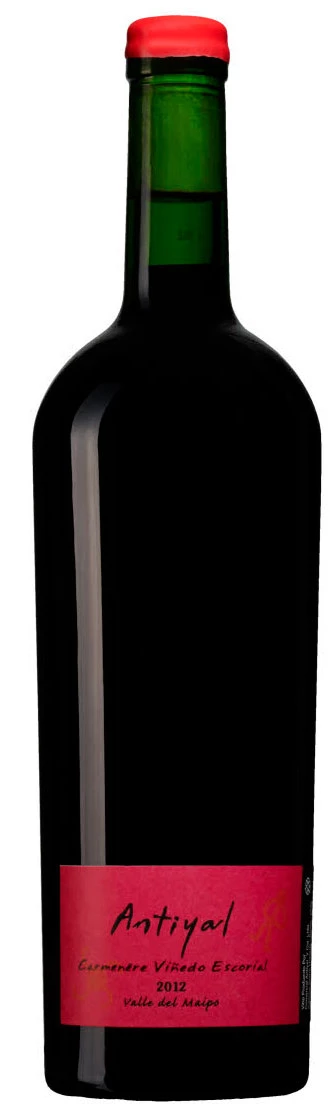 Carménere Viñedo Escorial ( Antiyal ) 2012