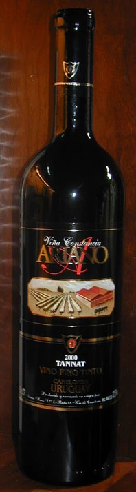 Tannat Constancia ( Ariano Hermanos ) 2000