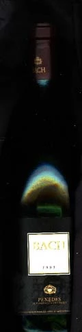 Vina Extrisima Bach reserva ( Masia Bach ) 1995
