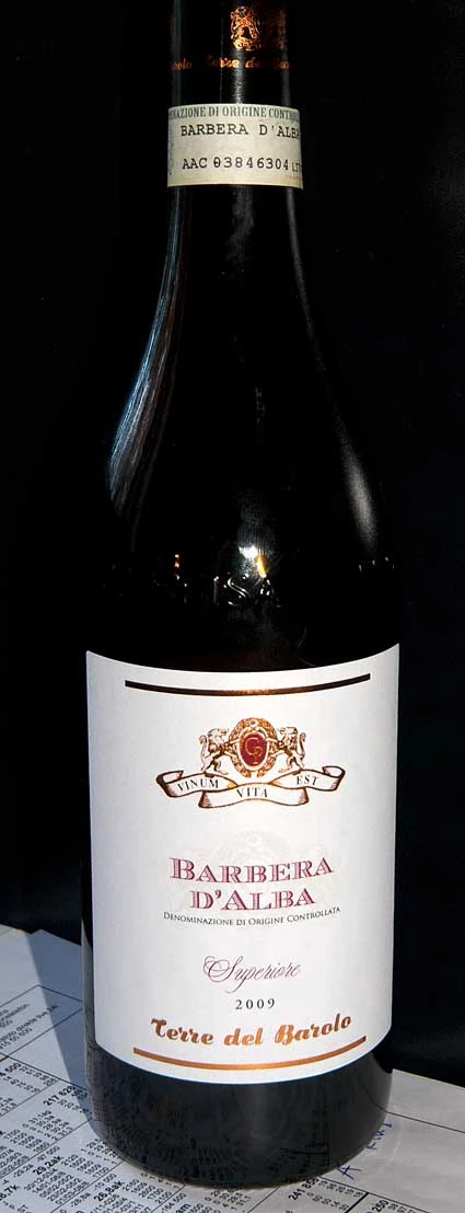 Barbera d`Alba Superiore ( Terre del Barolo ) 2009