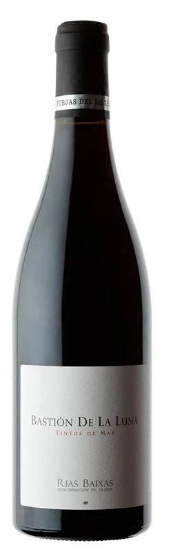 Bastión de la Luna ( Forjas del Salnes ) 2017