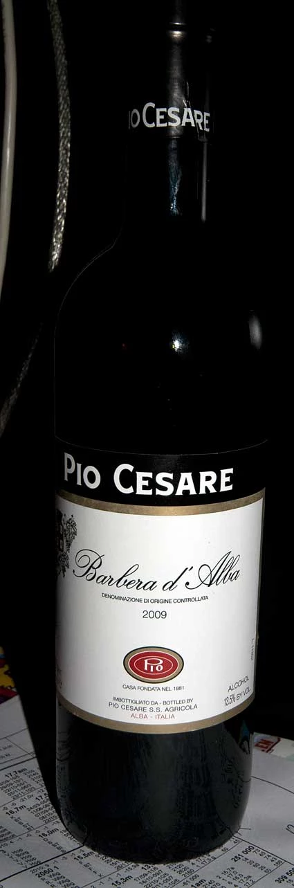 Barbera d`alba ( Pio Cesare ) 2003