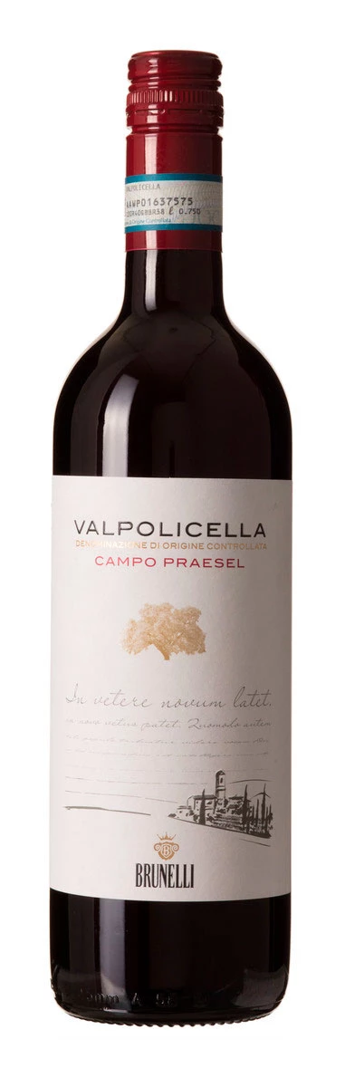 Valpolicella Classico Superiore Campo Praesel ( Luigi Brunelli ) 2006