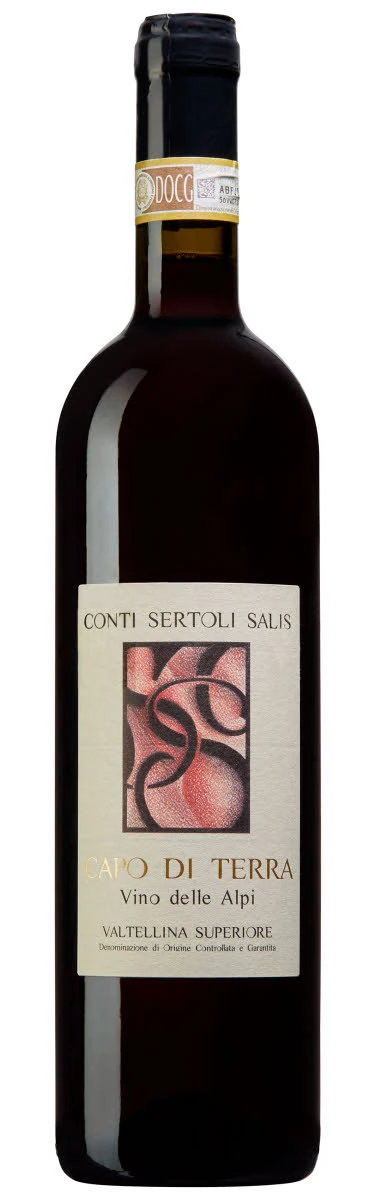 Capo di Terra ( Conti Sertoli Salis ) 2008