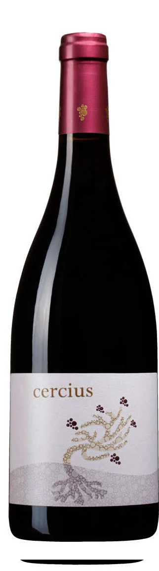 Cercius ( Michel Gassier ) 2016