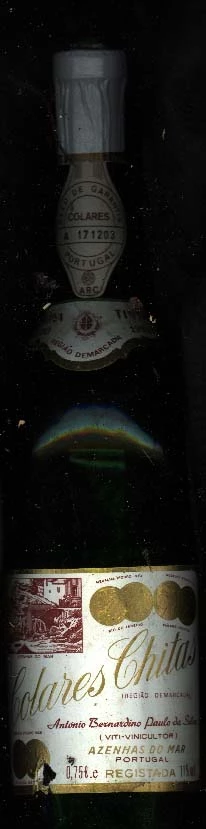 Colares Chitas ( Bernardino Paulo da Silva ) 1984