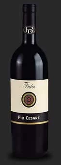Barbera d`Alba Fides ( Pio Cesare ) 2004