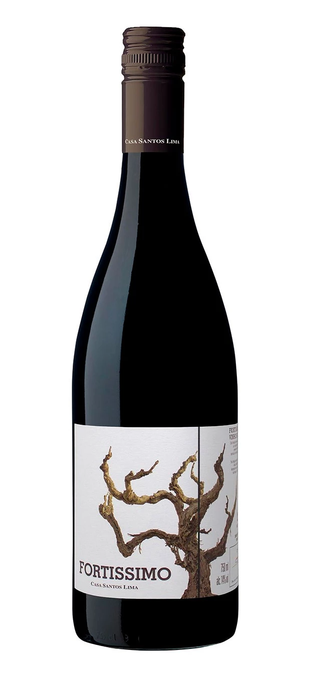 Fortissimo ( Casa Santos Lima ) 2016