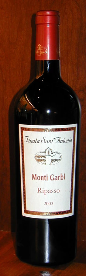 Ripasso Monti Garbi ( Tenuta Sant`Antonio ) 2014