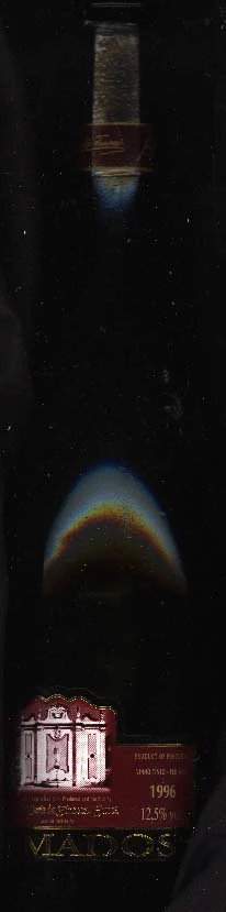 Pasmados ( J.M. Da Fonseca ) 1996