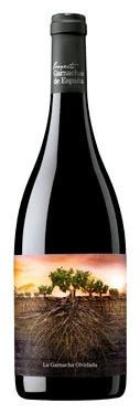 Proyecto Garnachas de España Olvidada de Aragon ( Bodegas San Gregorio ) 2012