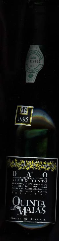 Quinta das Maias ( Quinta das Maias ) 1995