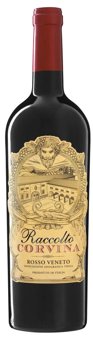 Raccolto Corvina ( Nordic Sea Winery ) 2013