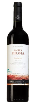 Santa Digna Carmenère Reserve ( Miguel Torres ) 2010