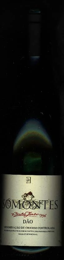 Somontes ( Casa de Passarela ) 1996