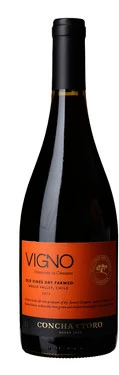 Vigno ( Concha y Toro ) 2013