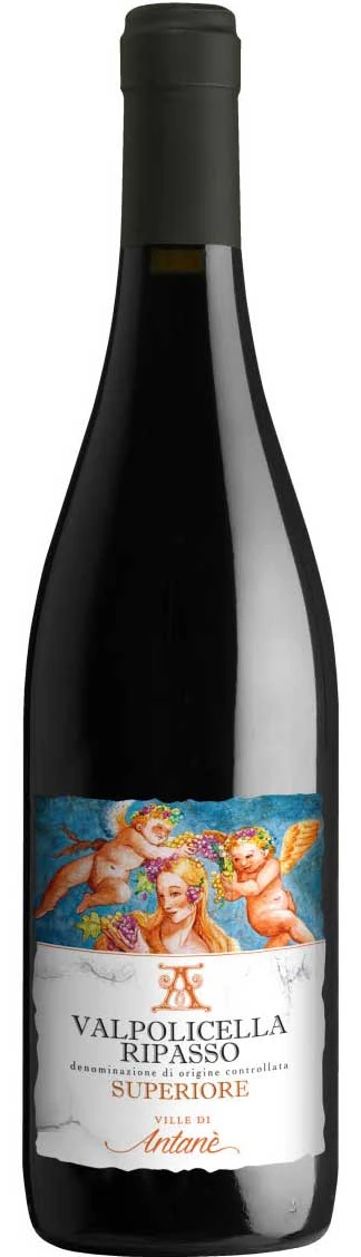 Valpolicella Ripasso Superiore ( Le Ville di Antanè ) 2013