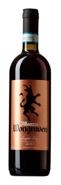 Alleanza Langhe Rosso ( Wongraven Wines ) 2009